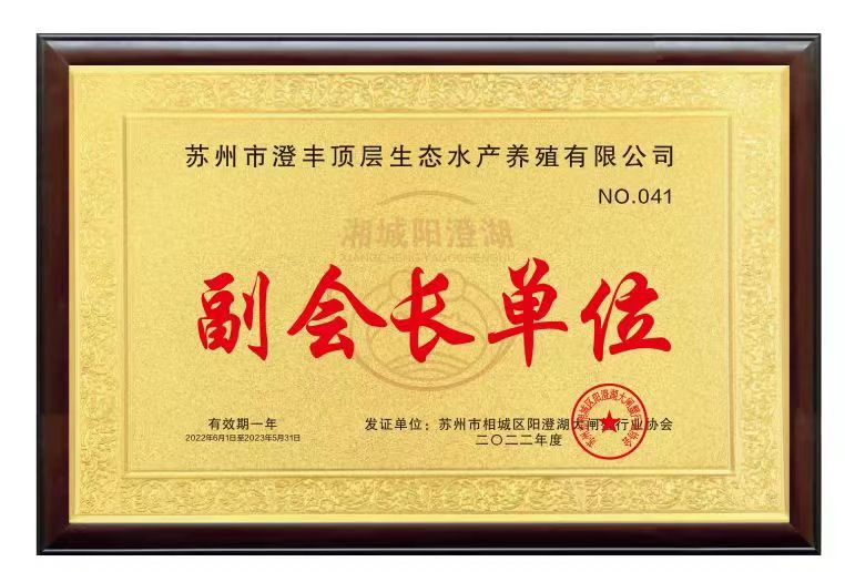 副会长级别